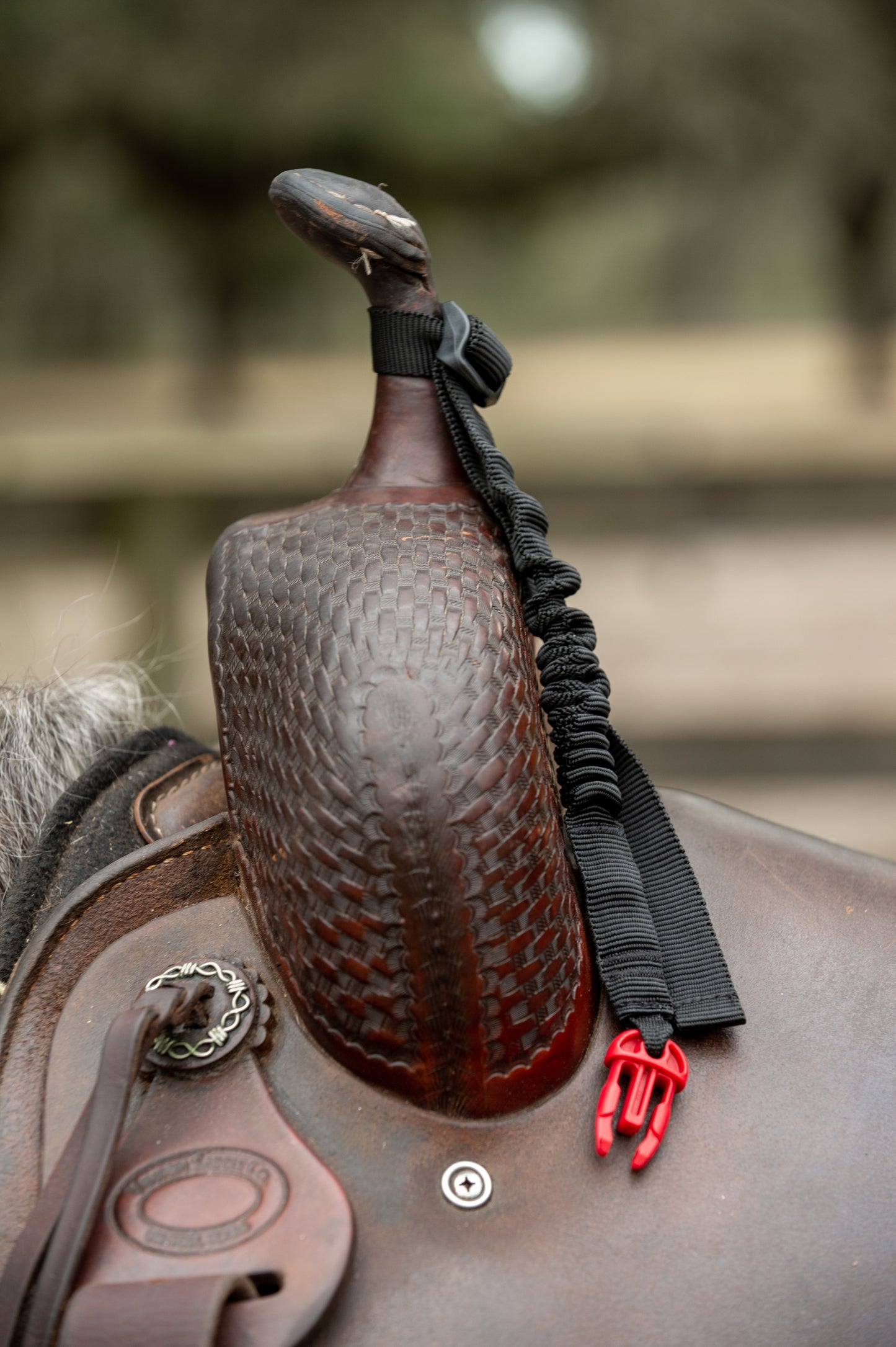 Universal Hit Air bungee used to connect to a western saddle.